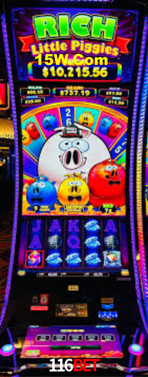 116Bet: Seu Especialista em Apostas Esportivas Brasileiras