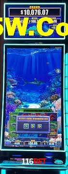 Crash Games Strategies 116Bet